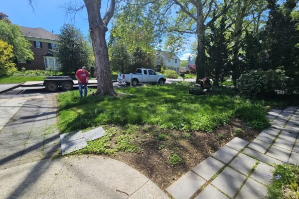 Garden maintenance