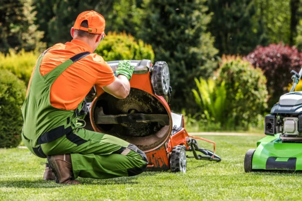 Lawn Get Gone