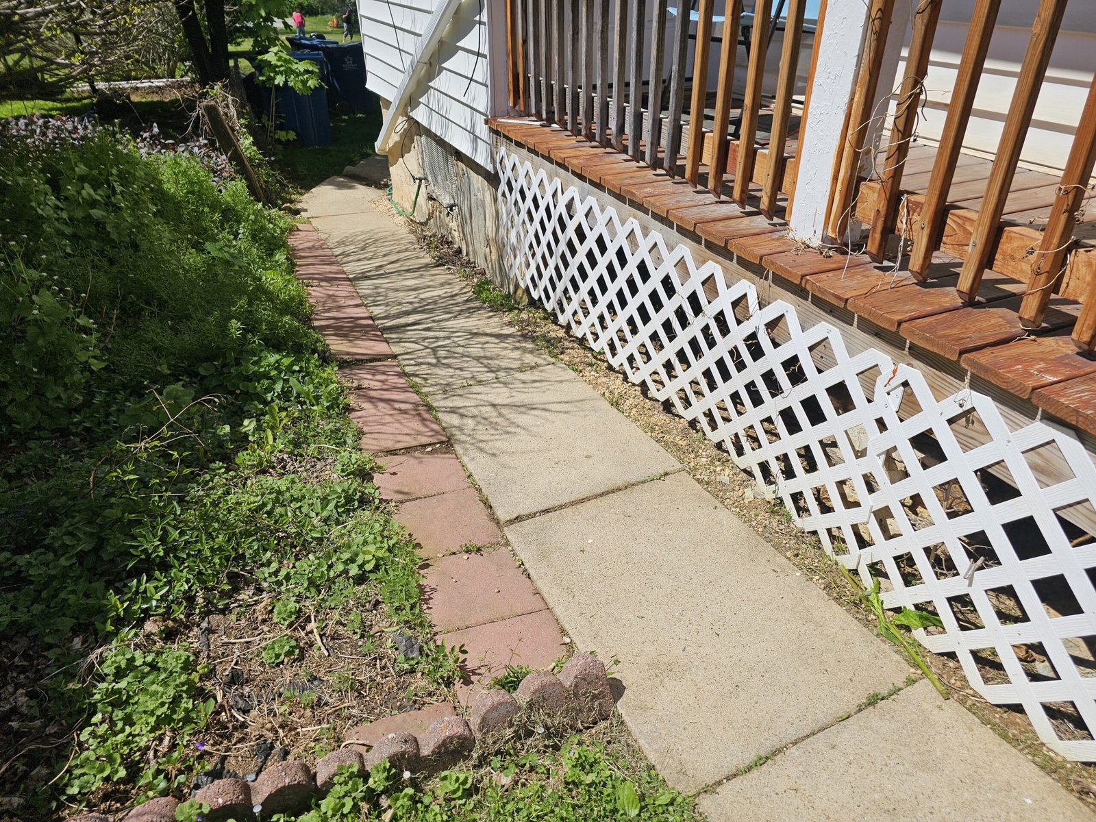 Narrow side yard walkway beside a porch with overgrown weeds and plants along the edge