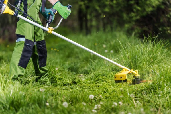 related-lawn-care-services-york-pa