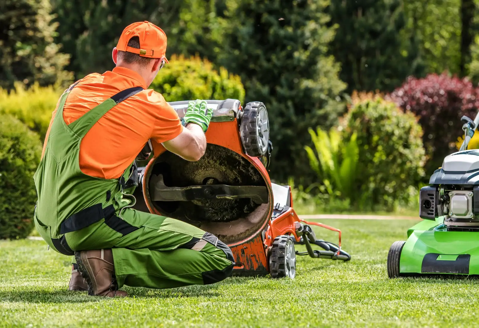 About Lawn Get Gone