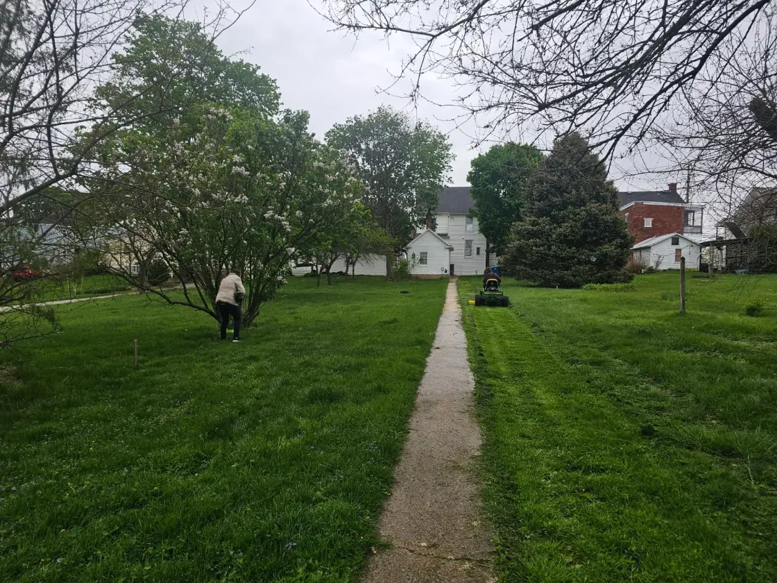 hedge trimming York PA