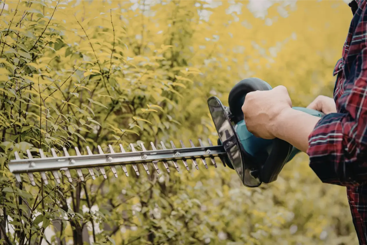 Seasonal yard cleanup service in York, PA restoring residential lawn and curb appeal