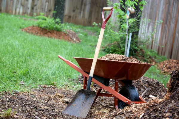 One-Time Yard Cleanup