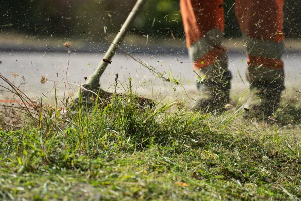 lawn-get-gone-yard-cleanup-crew-york-pa