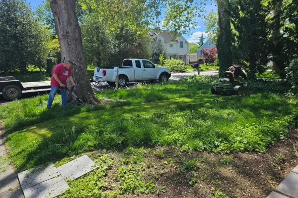 lawn-mowing-and-trimming-around-tree.jpg